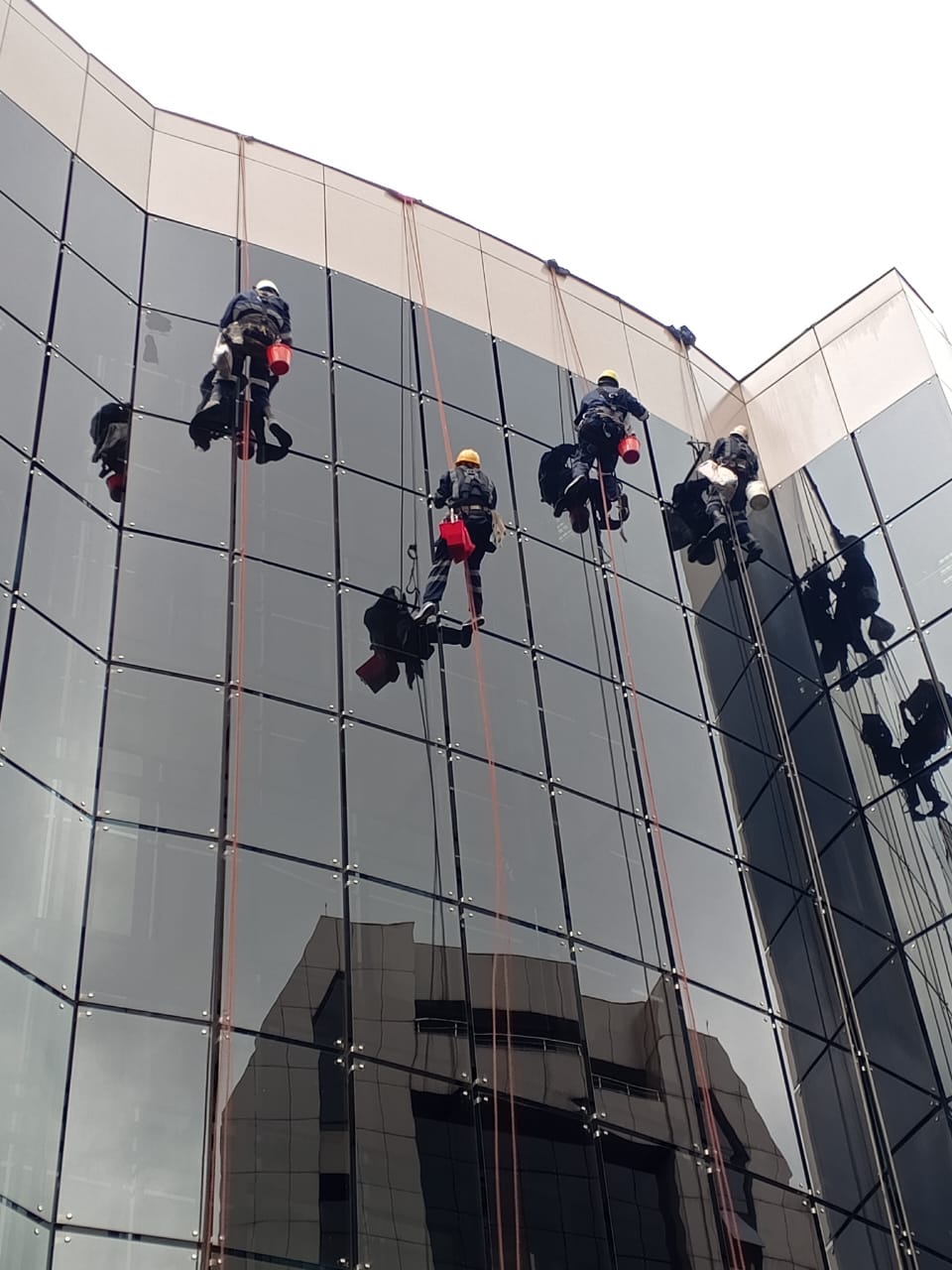 Professional window cleaning service on a high-rise building